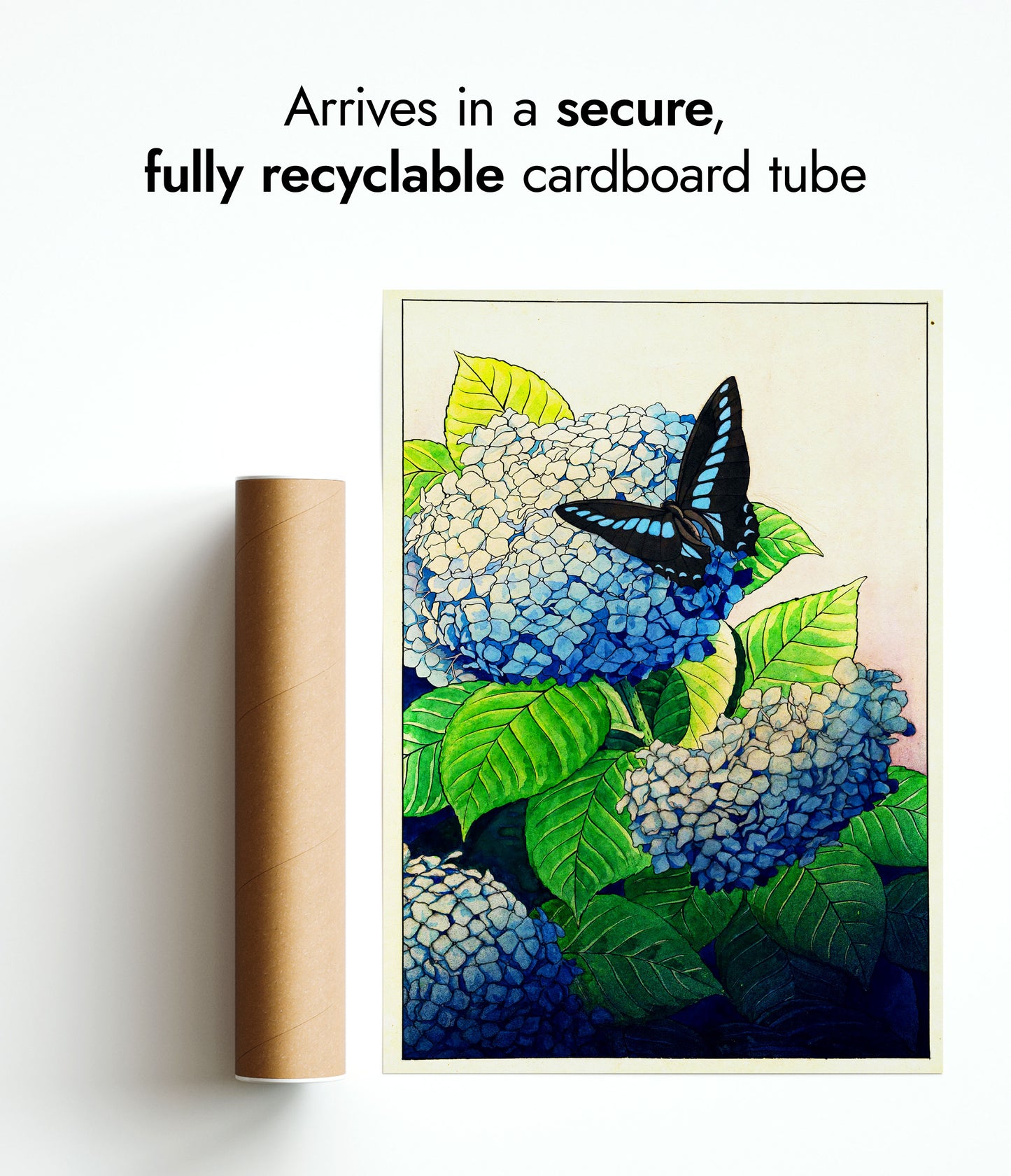 Hortensia's en Vlinder