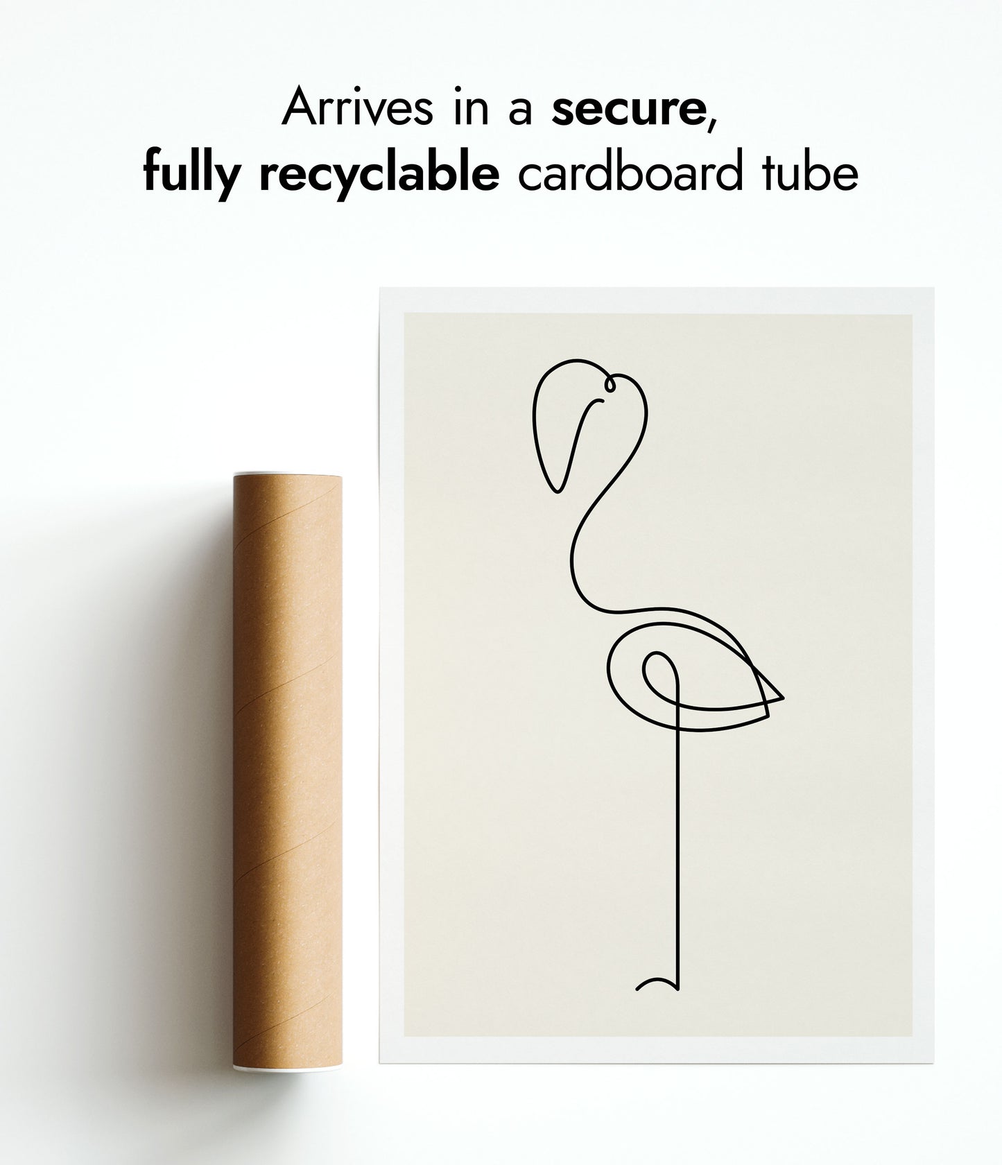 Graceful Flamboyance