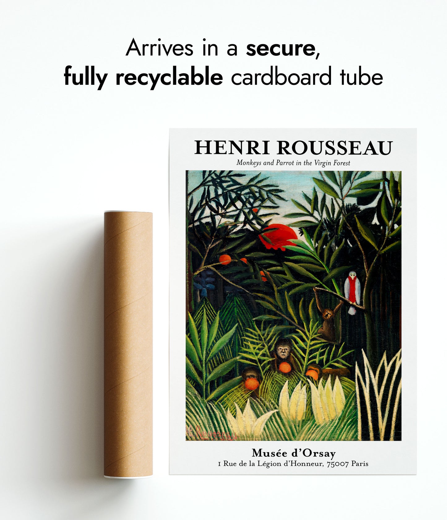 Apdjur och papegoja i den orörda skogen