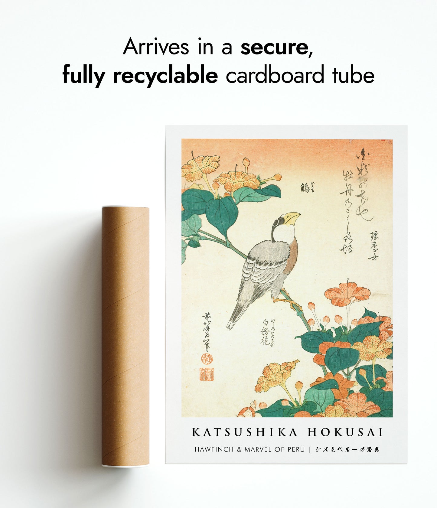 Hawfinch & Marvel of Peru