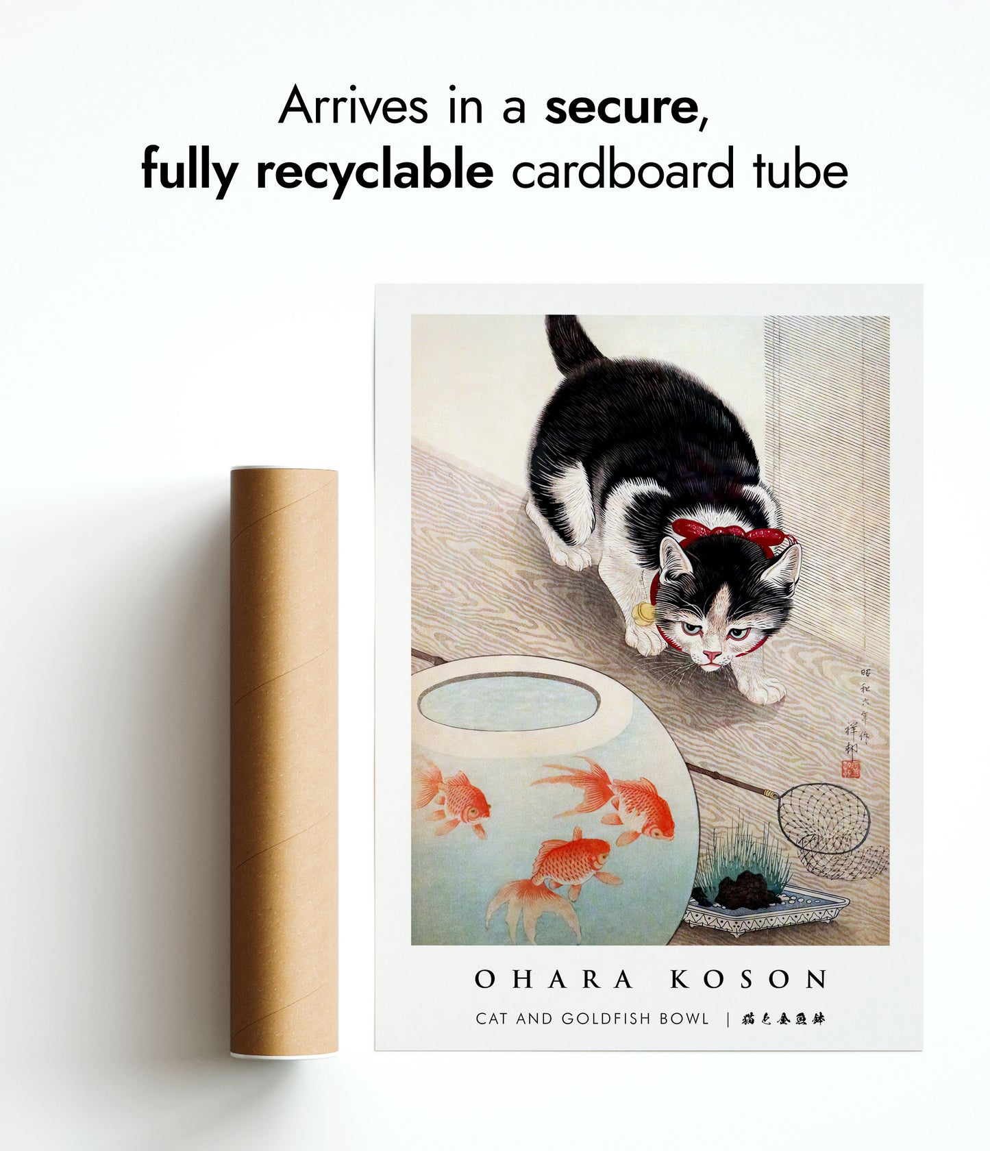 Katt och guldfiskbägare