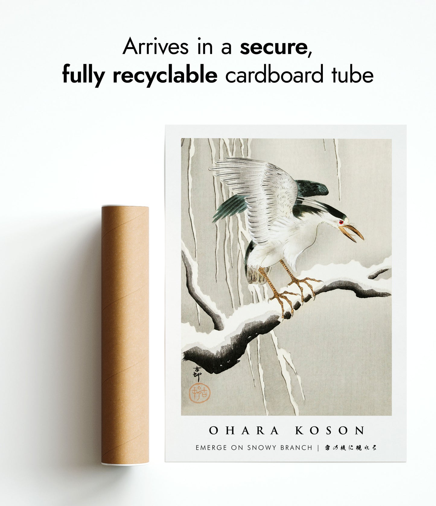 Tevoorschijn komen op een besneeuwde tak