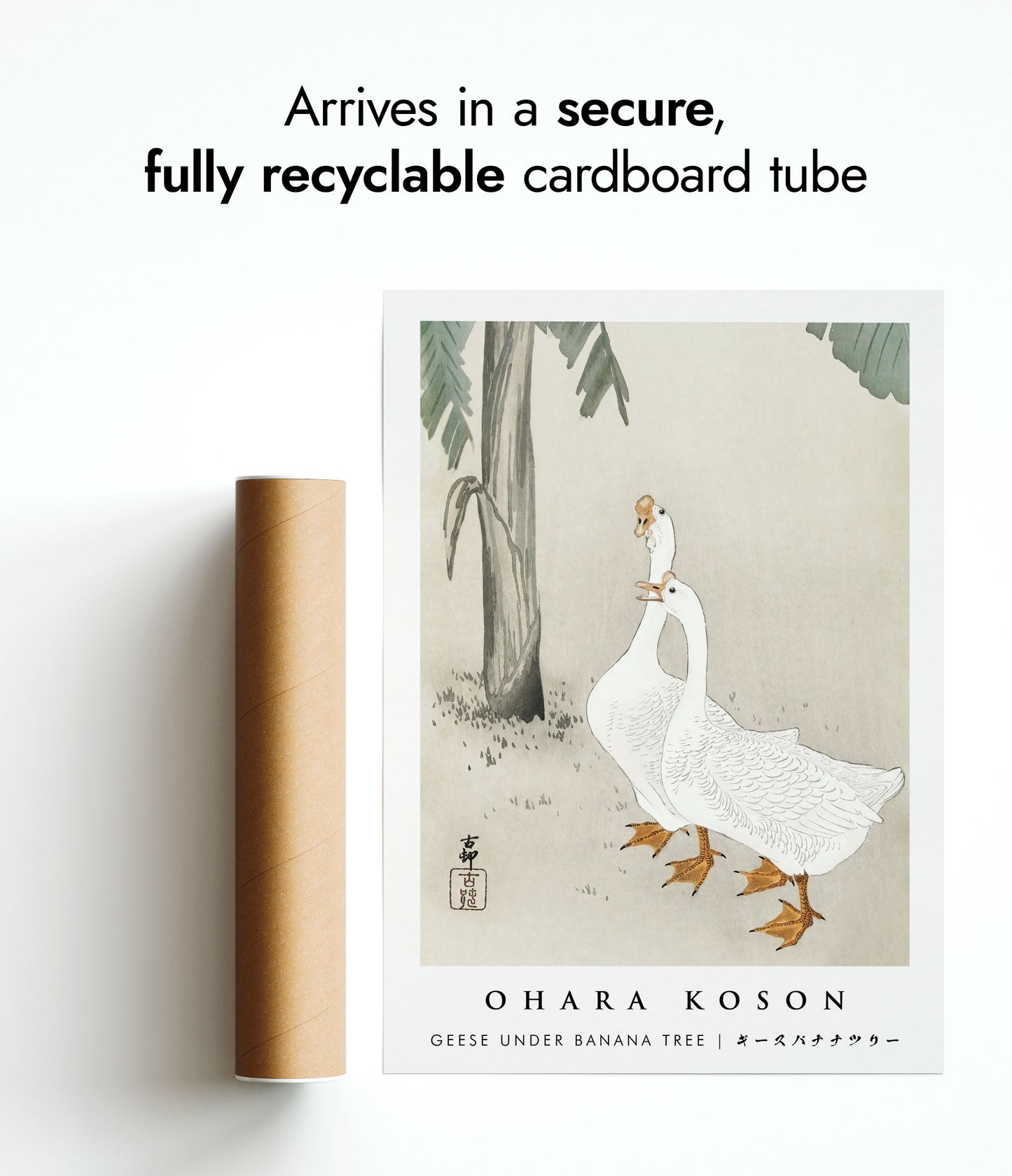 Geese under Banana Tree