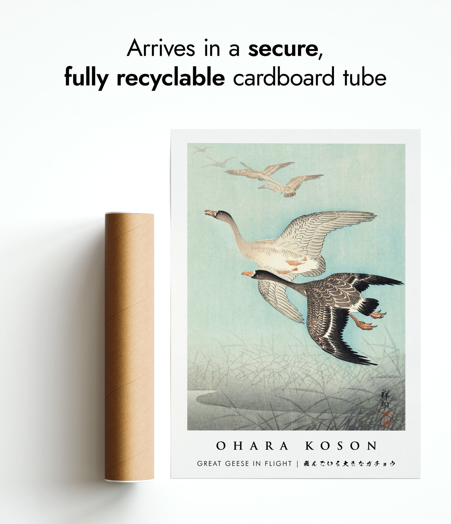 Great Geese in Flight