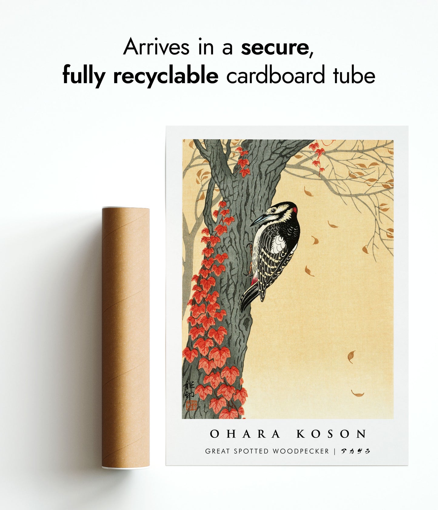 Great Spotted Woodpecker