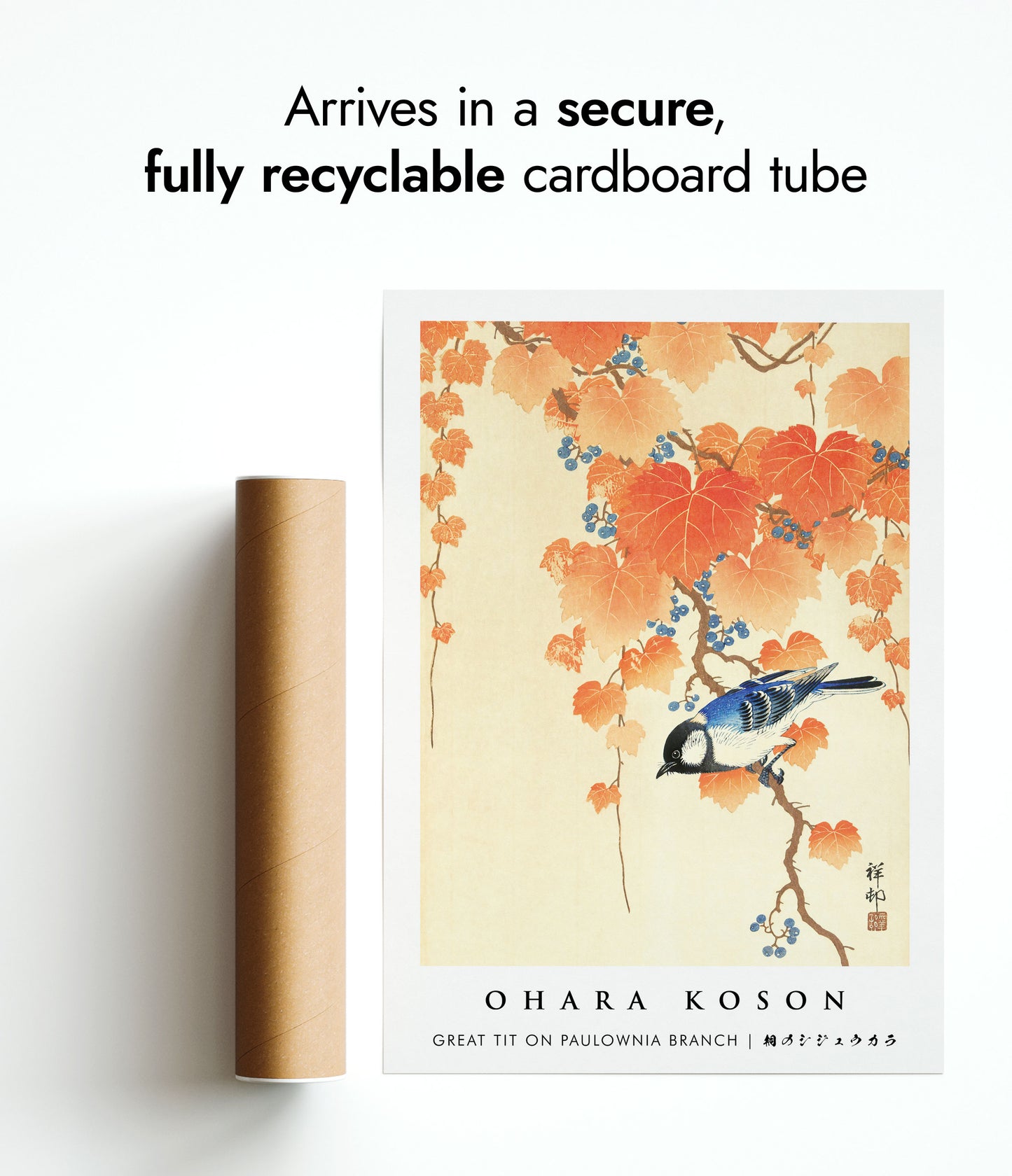 Great Tit on Paulownia Branch