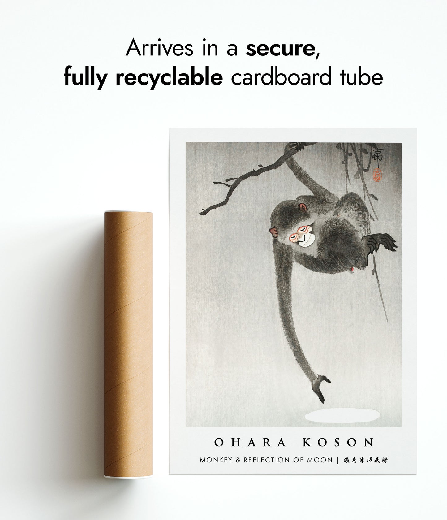 Singe et reflet de la lune