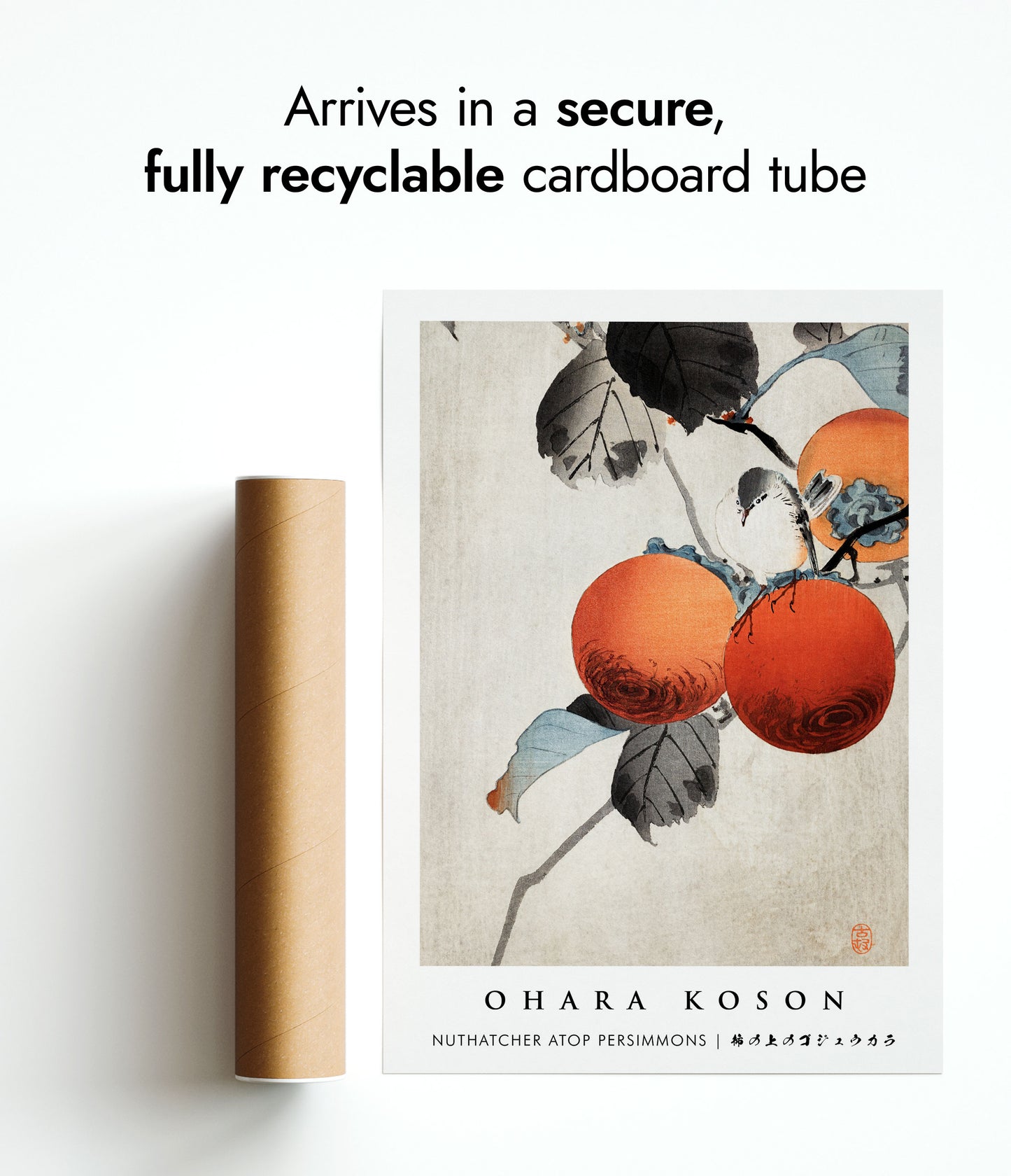 Nuthatcher atop Persimmons