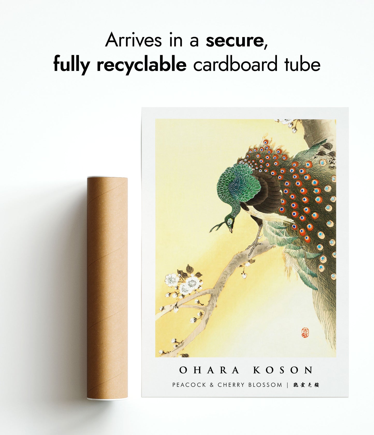 Peacock & Cherry Blossom