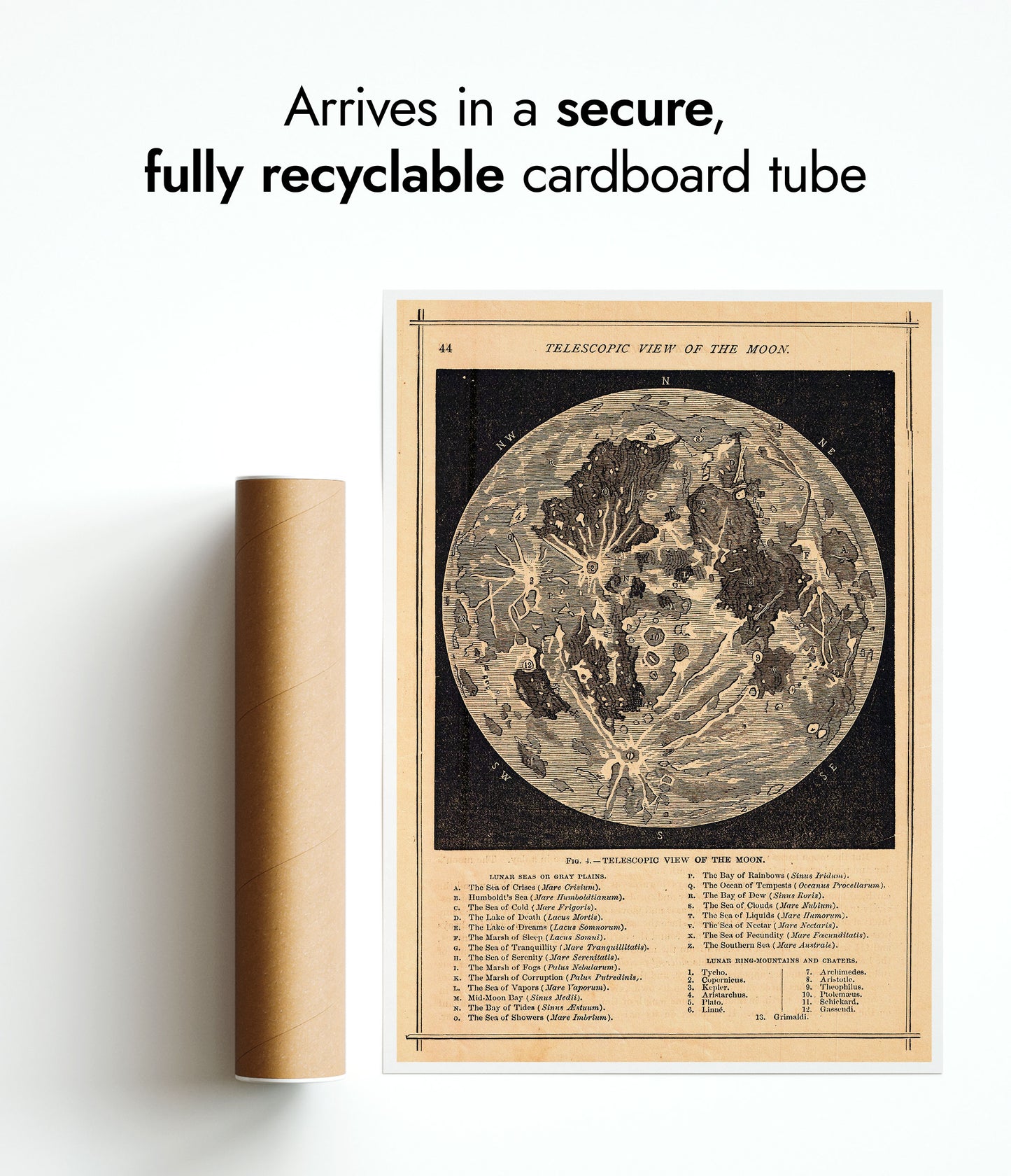 Teleskopisk vy av månen