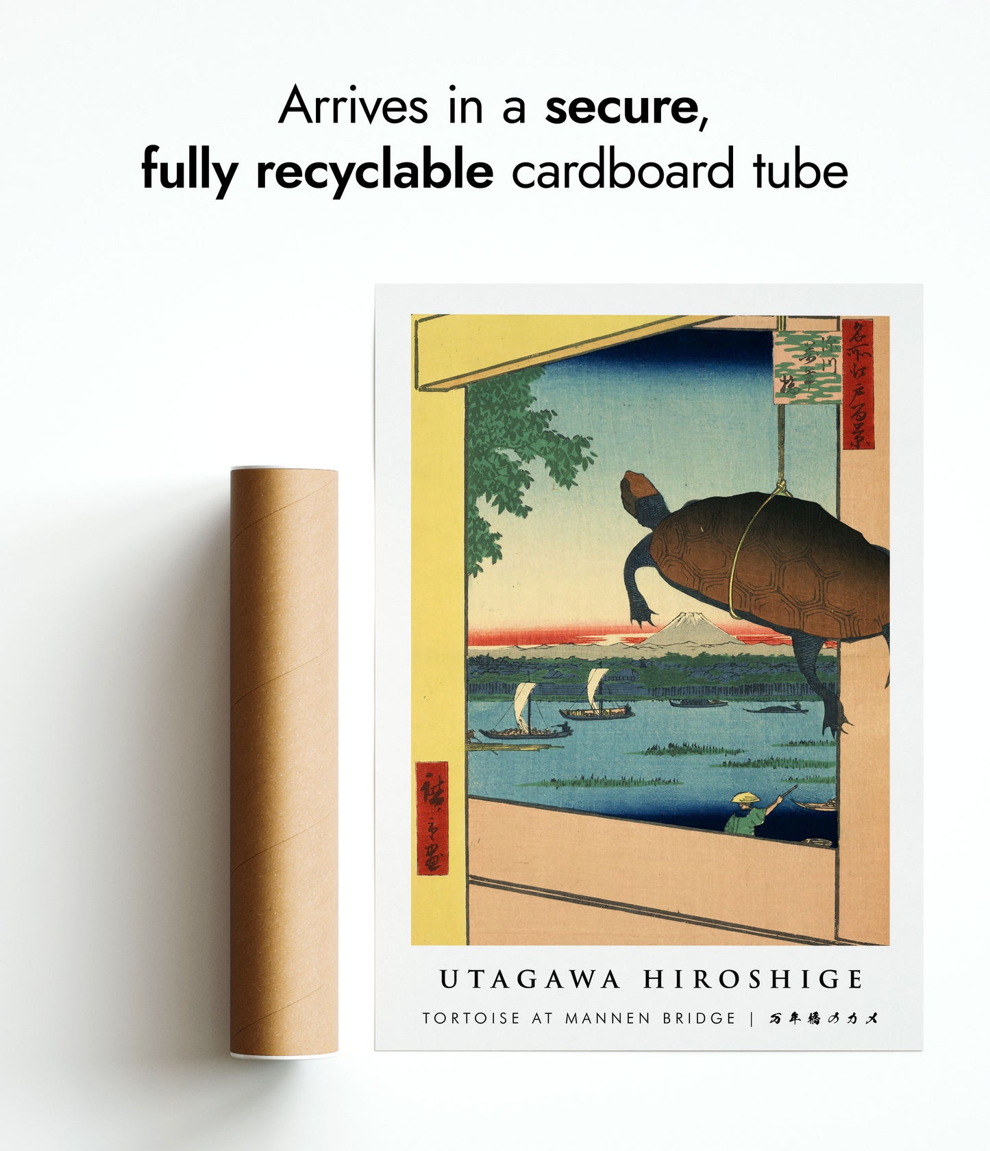 Tortue au pont Mannen