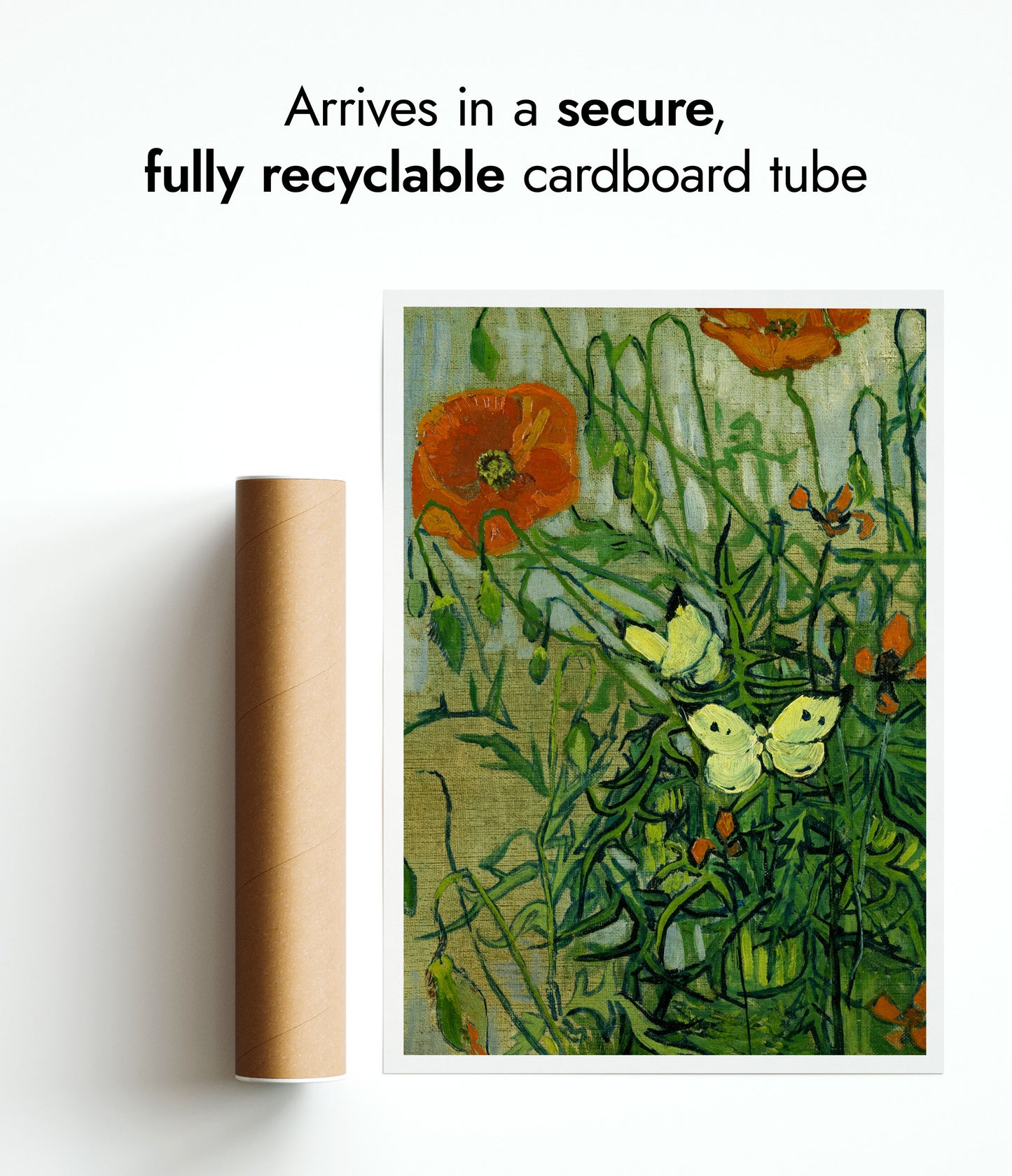 Vlinders en Klaprozen