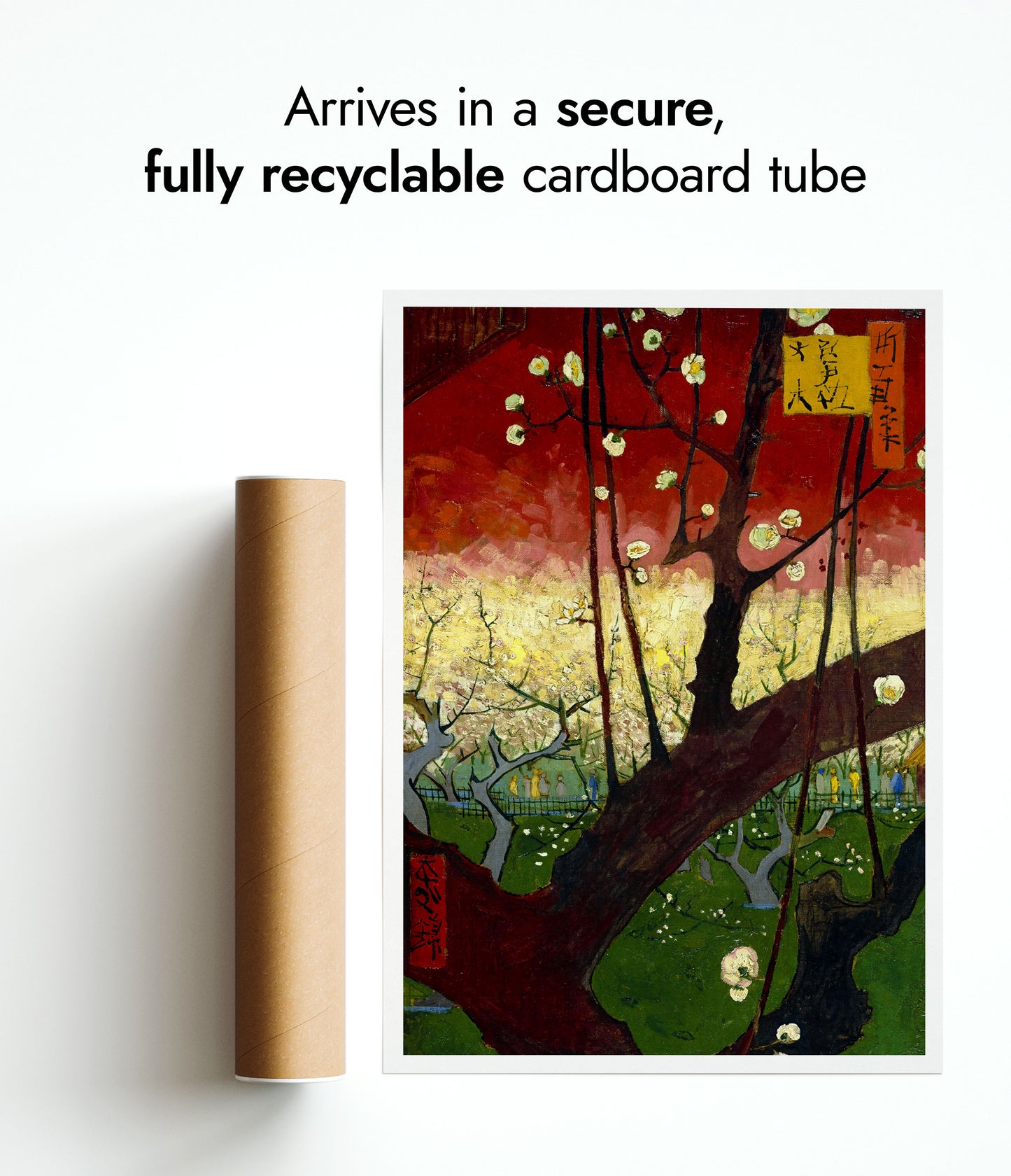 Flowering Plum Orchard