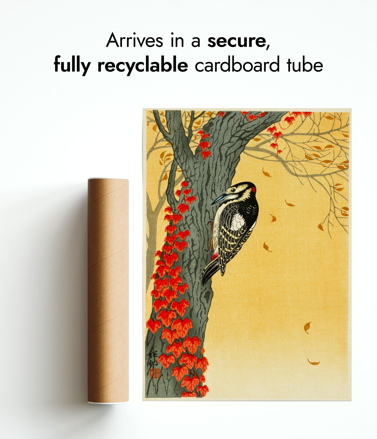 Great Spotted Woodpecker