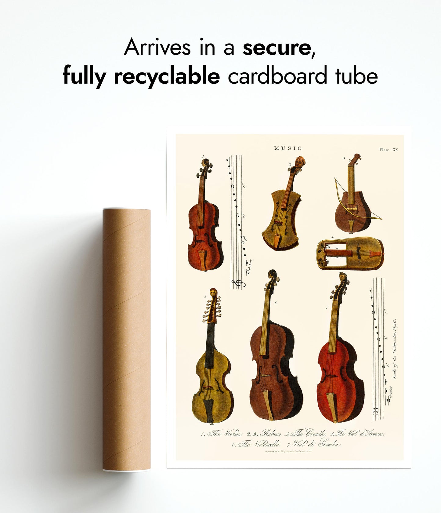 Vintage Violins, Violas and Cellos