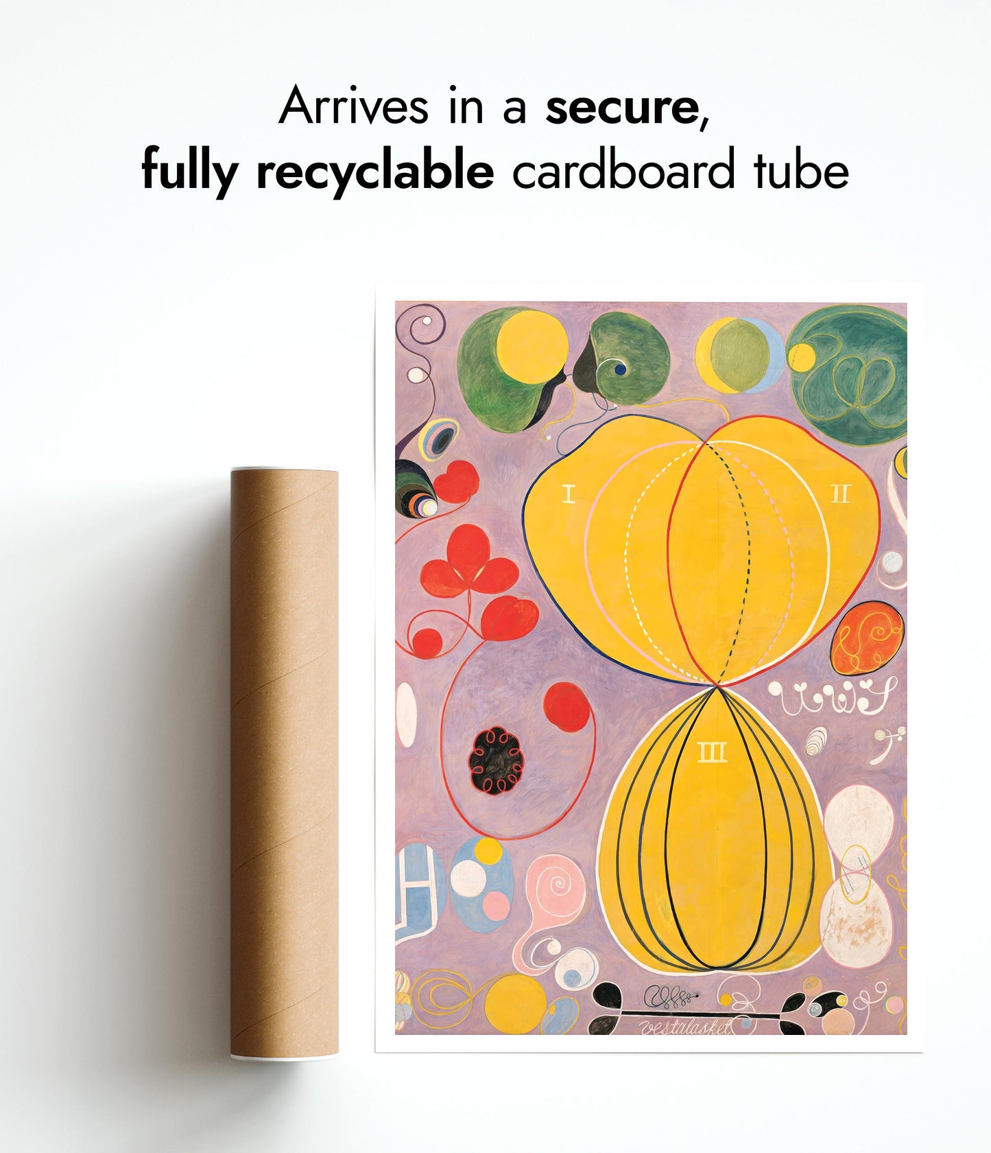 Groep IV - De Tien Grootste - Volwassenheid