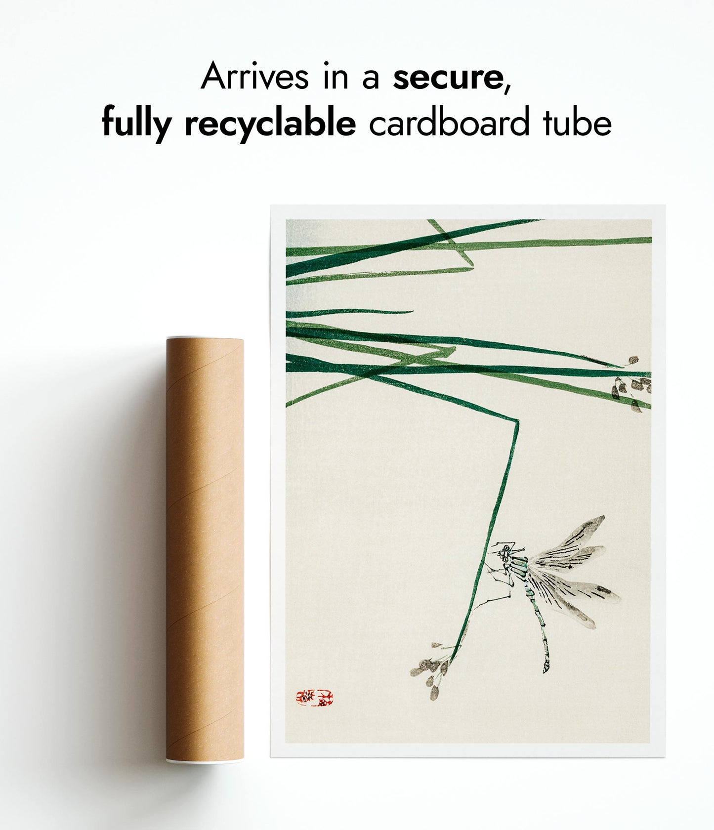 Dragonfly on Bulrush Leaf