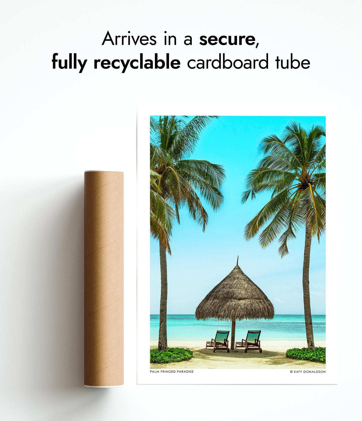 Palm Fringed Paradise