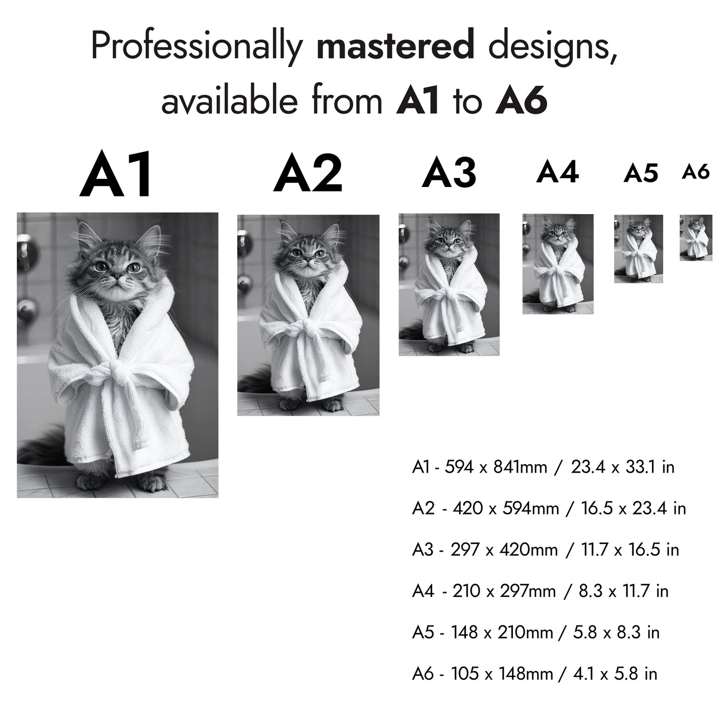 Badrum Katter Fotografi Trio