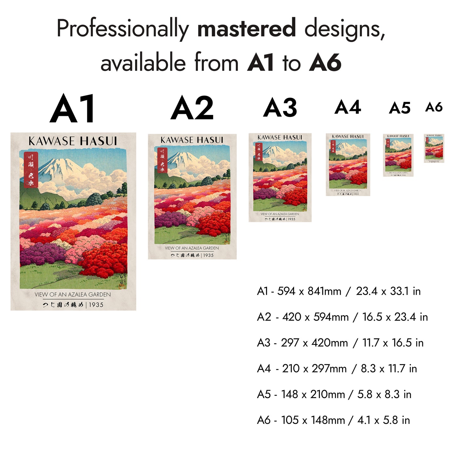 Bestes aus Hasuis Natur-Set