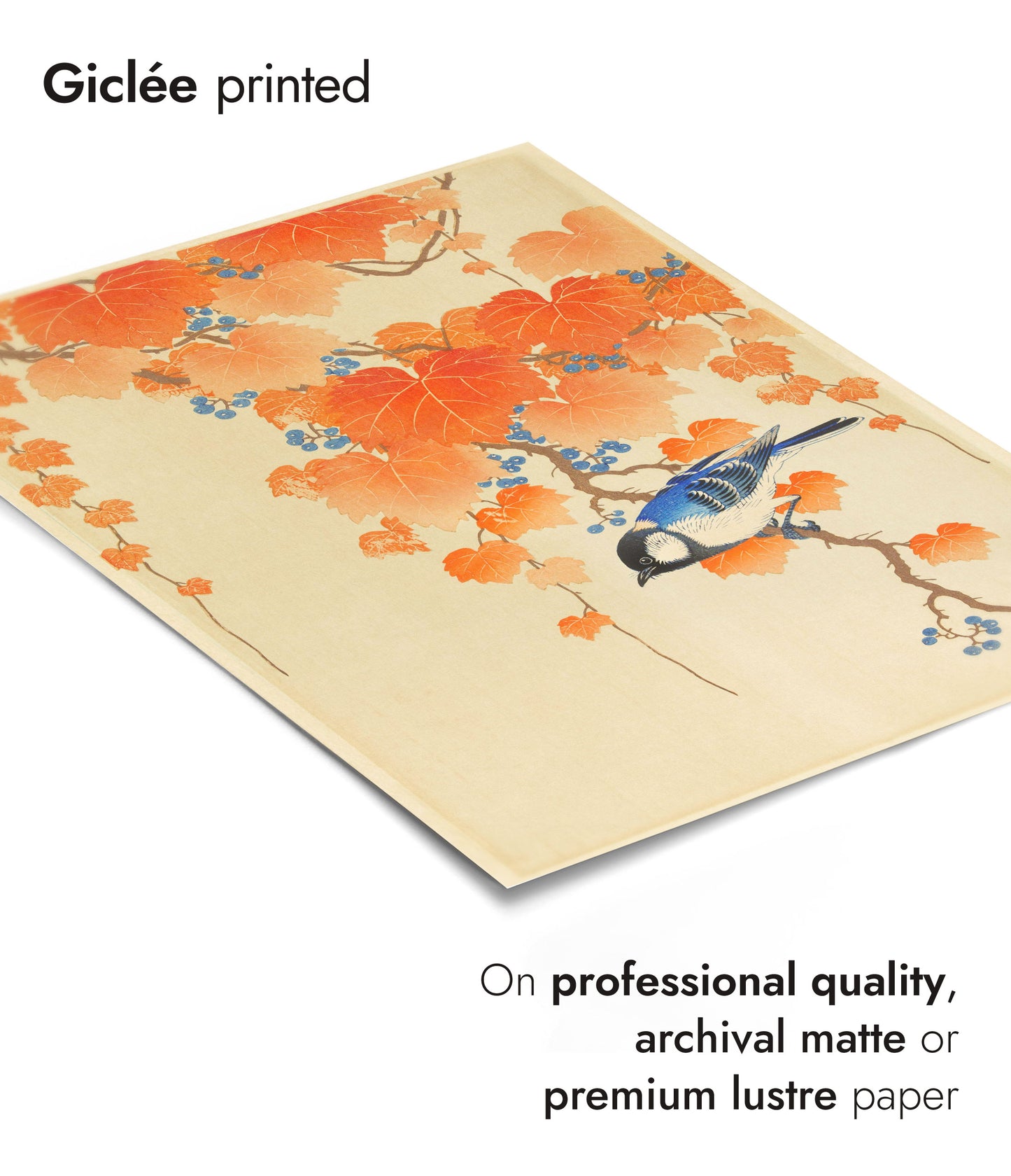 Ohara Koson Birds - Set of 3