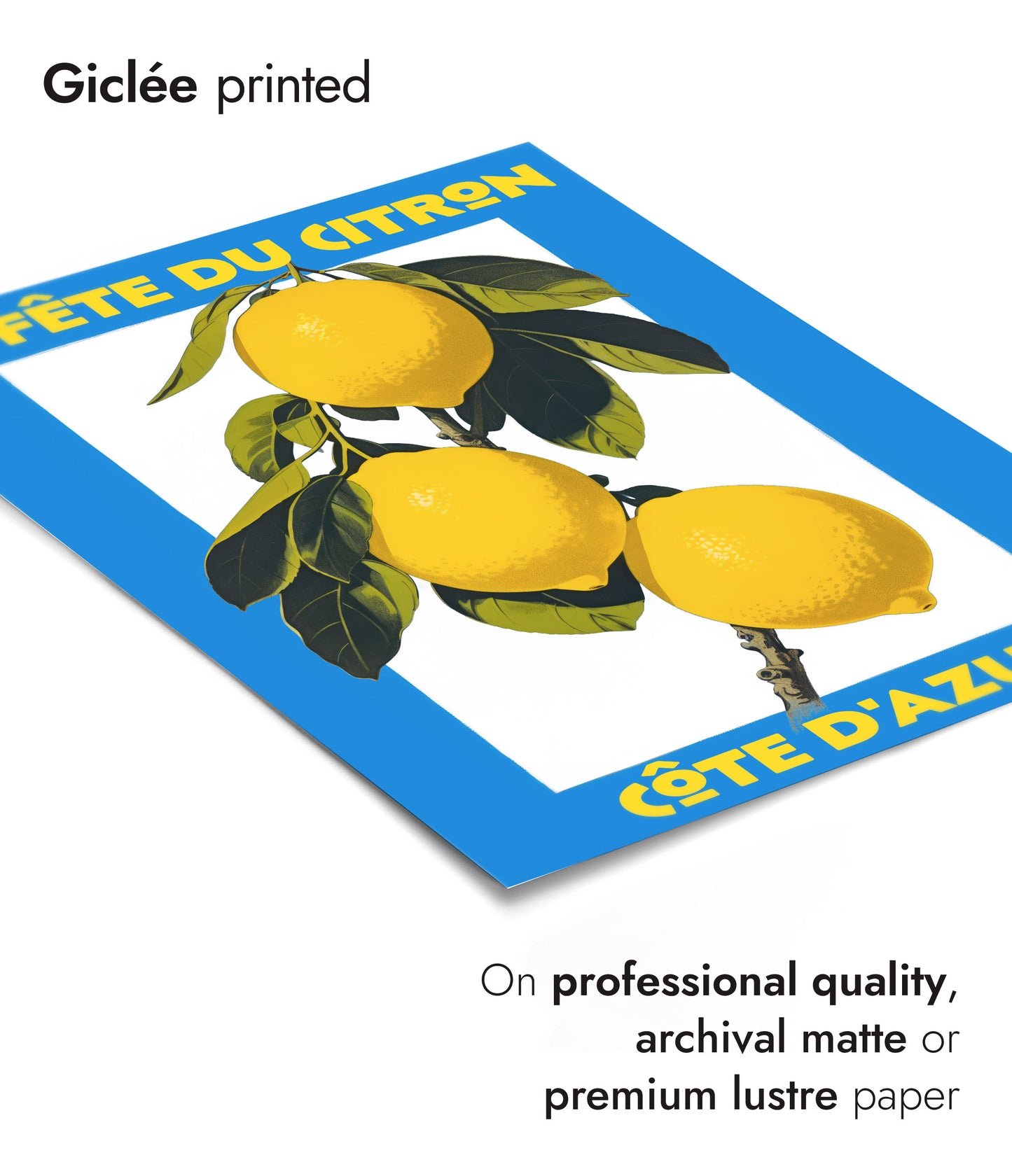 Exposition de marché aux fruits - Ensemble de 3