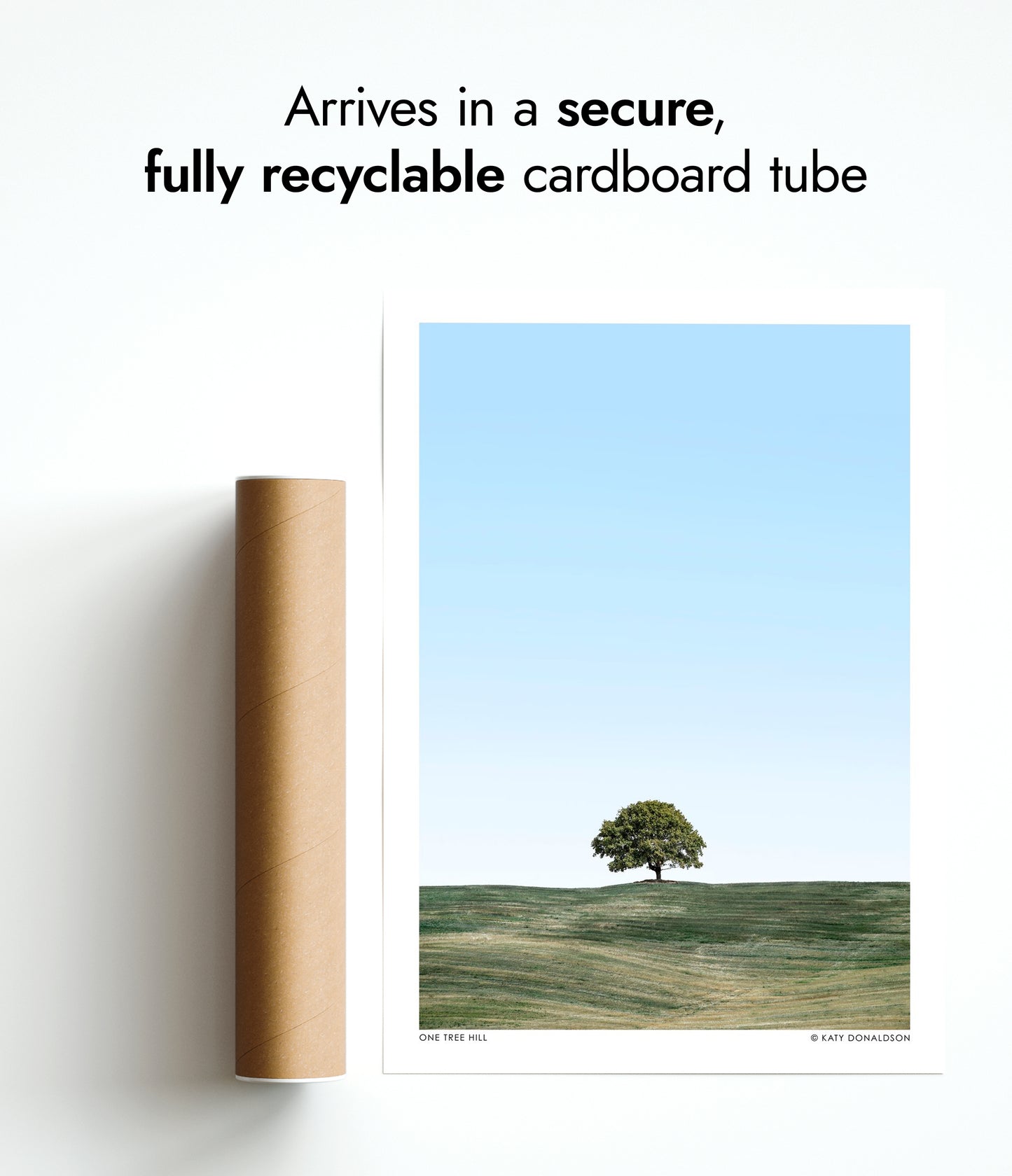 One Tree Hill Portrait