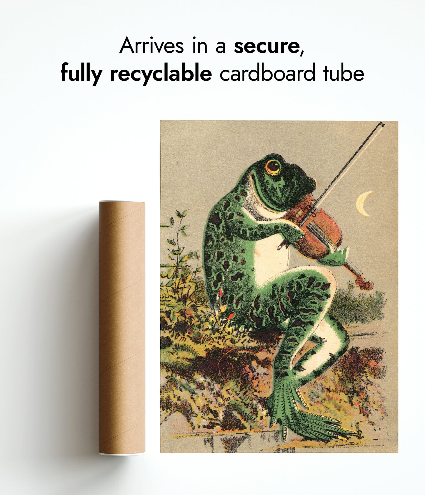 Kikker die viool speelt