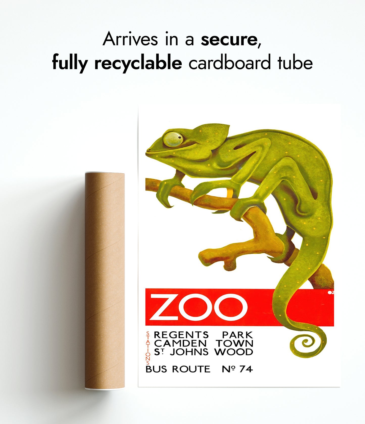 Chameleon, Londense dierentuin