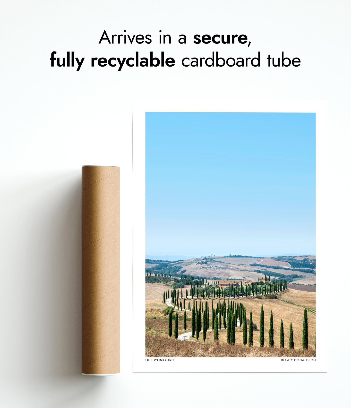 Ett snett trädporträtt