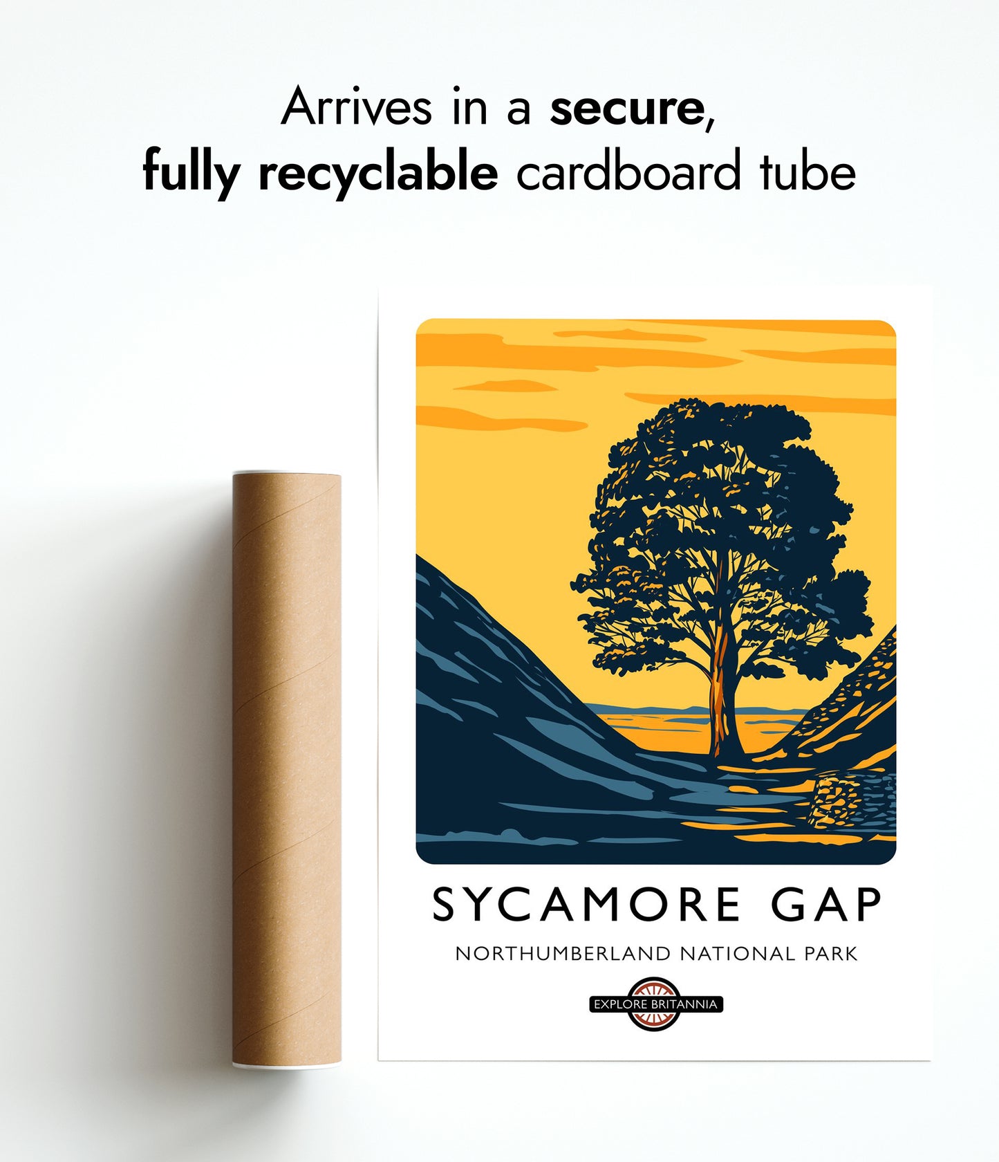 Sycamore Gap, Northumberland National Park