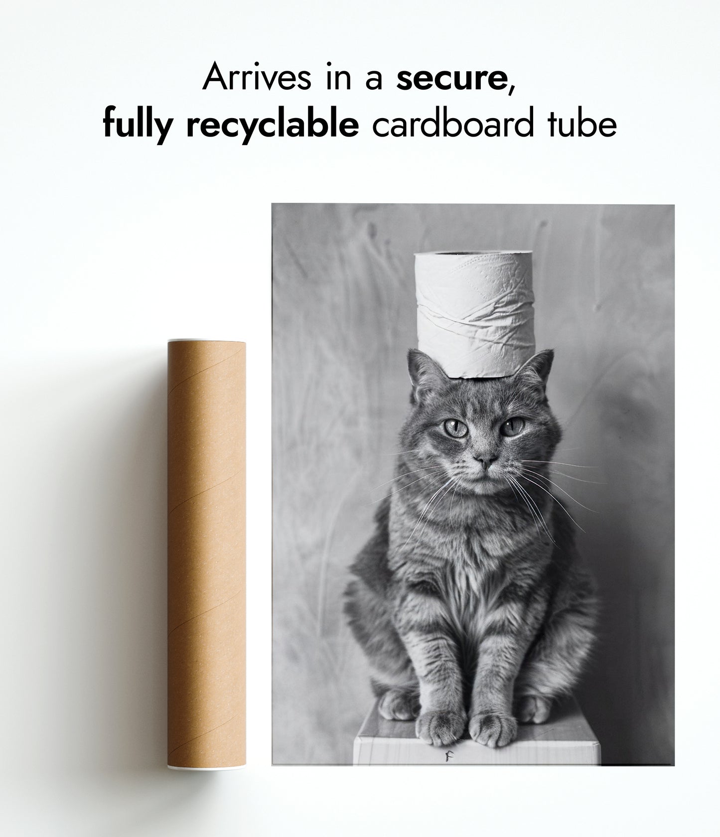 Pawsitive Roll Model