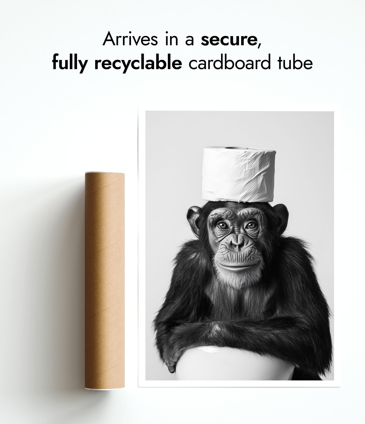 Monkey See, Monkey Roll