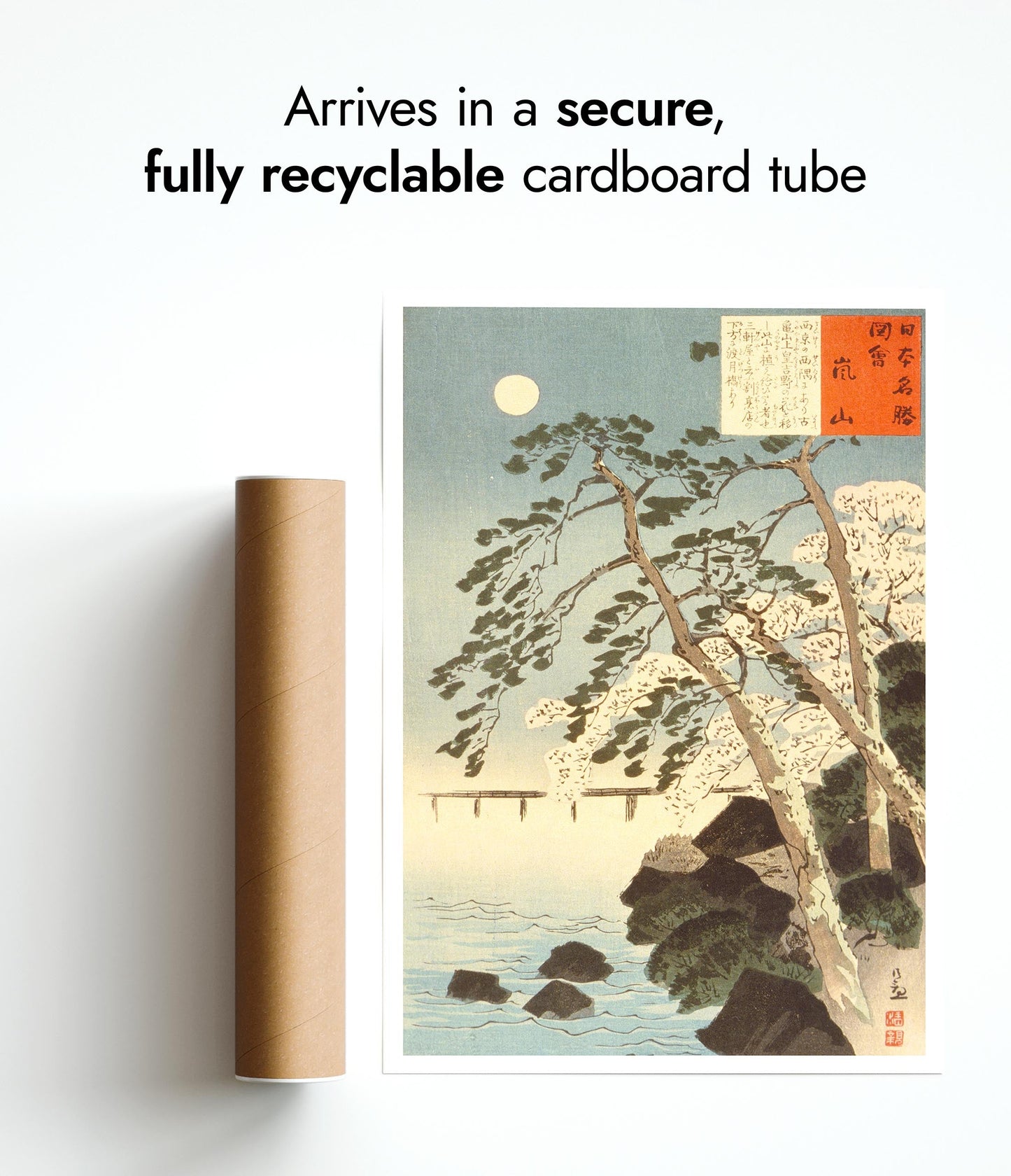 Views from the Coast