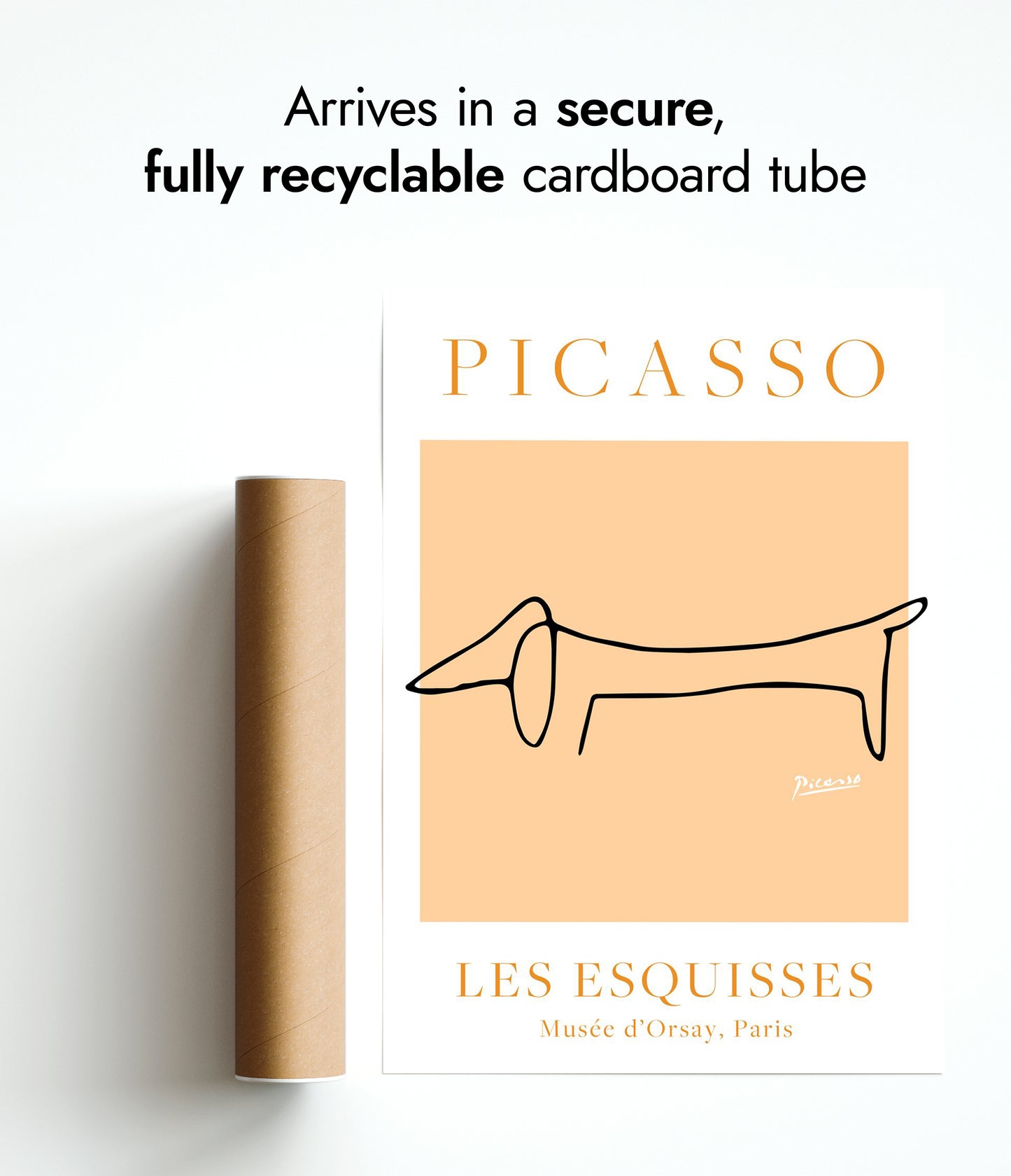 Orange & Chien Blanc