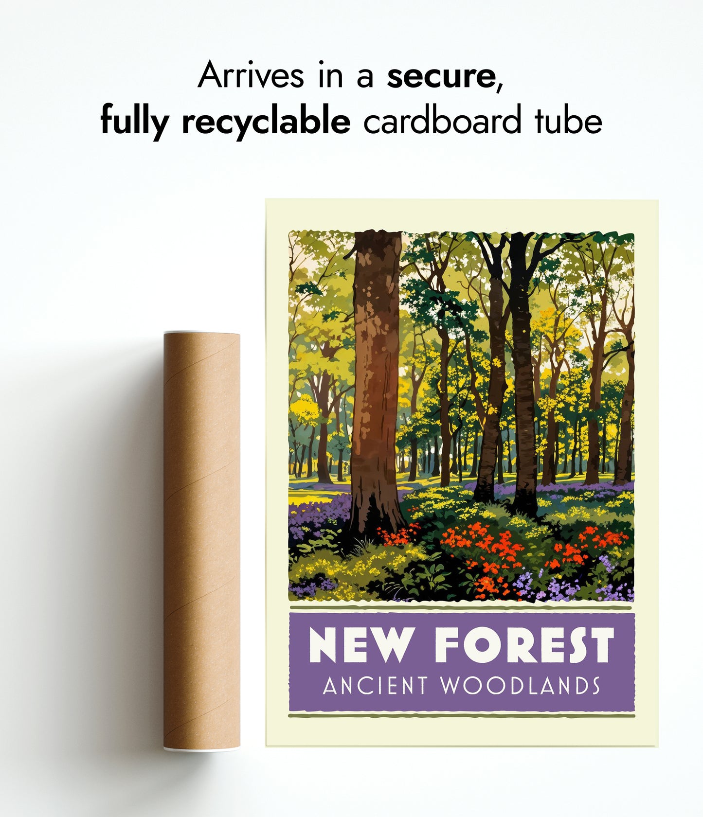 New Forest, Forntida skogar