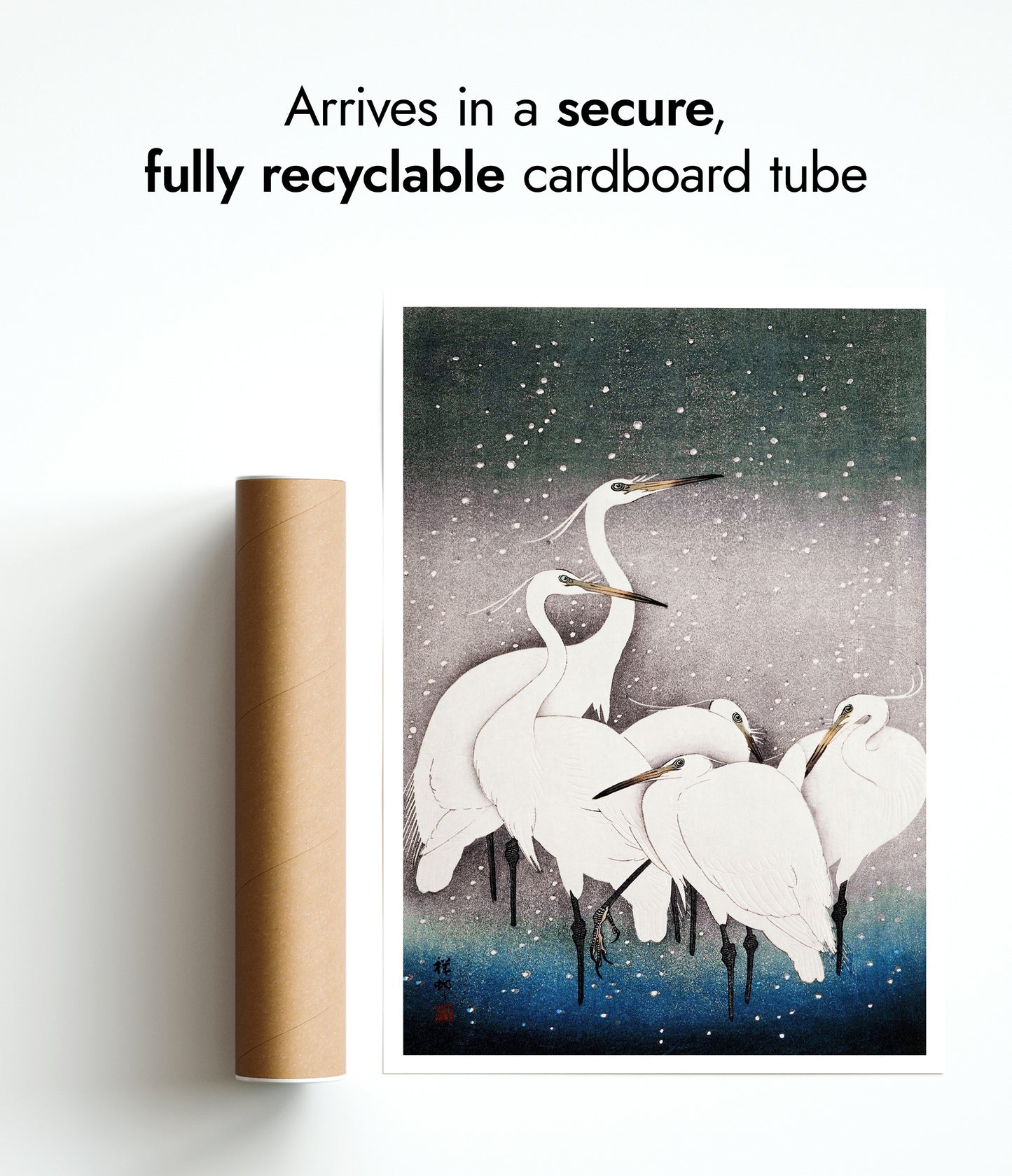 Garnalenreigers in de sneeuw