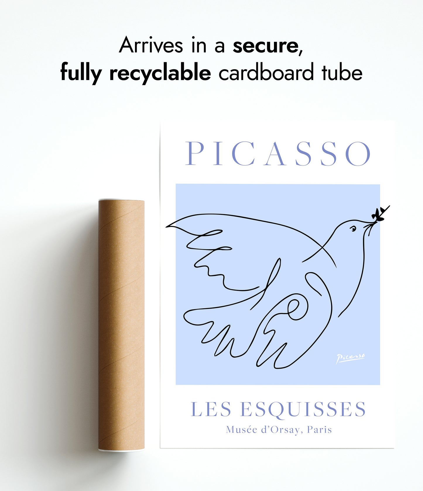 Colombe bleu et blanc