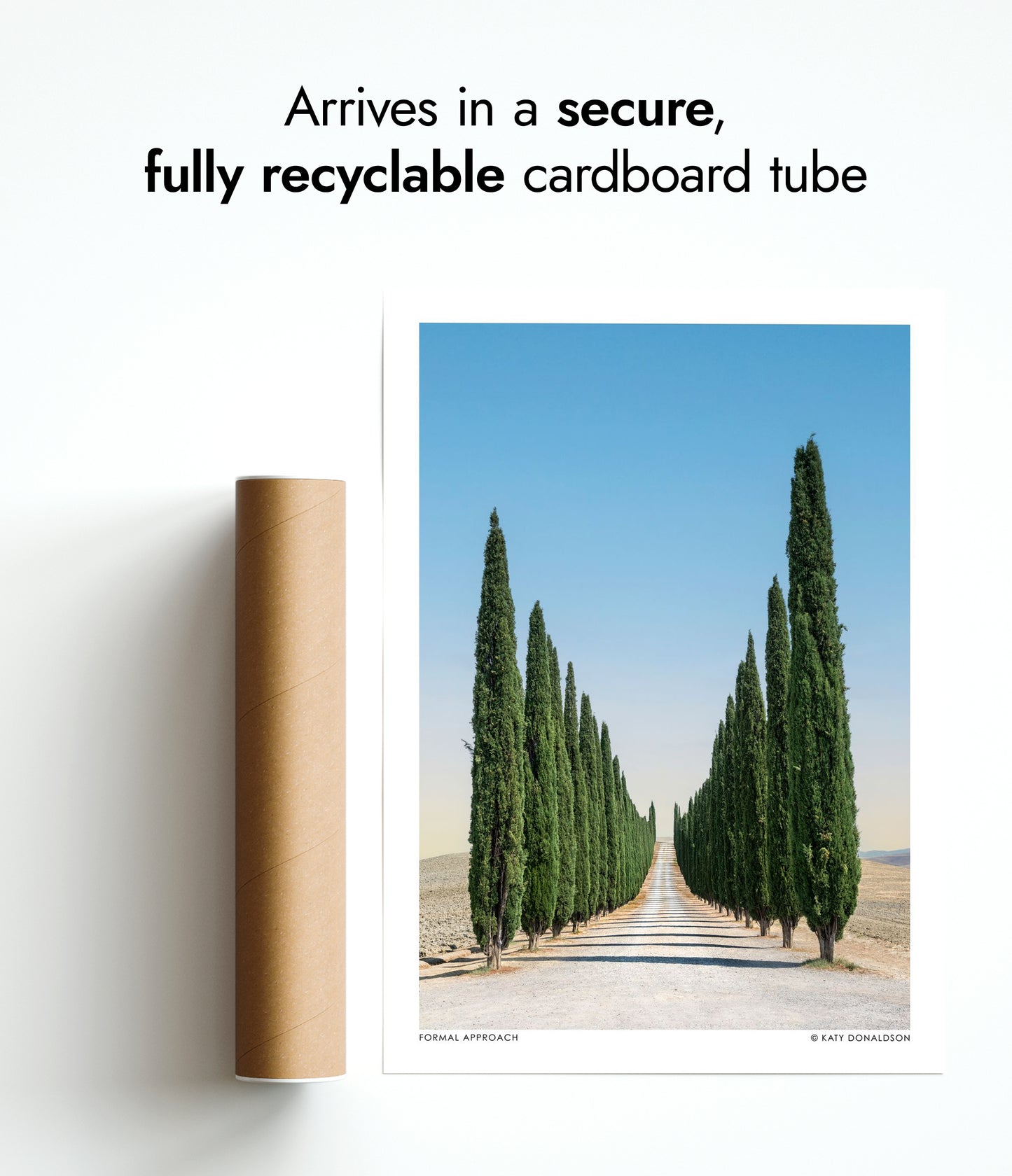 Formell tillvägagångssätt Porträtt