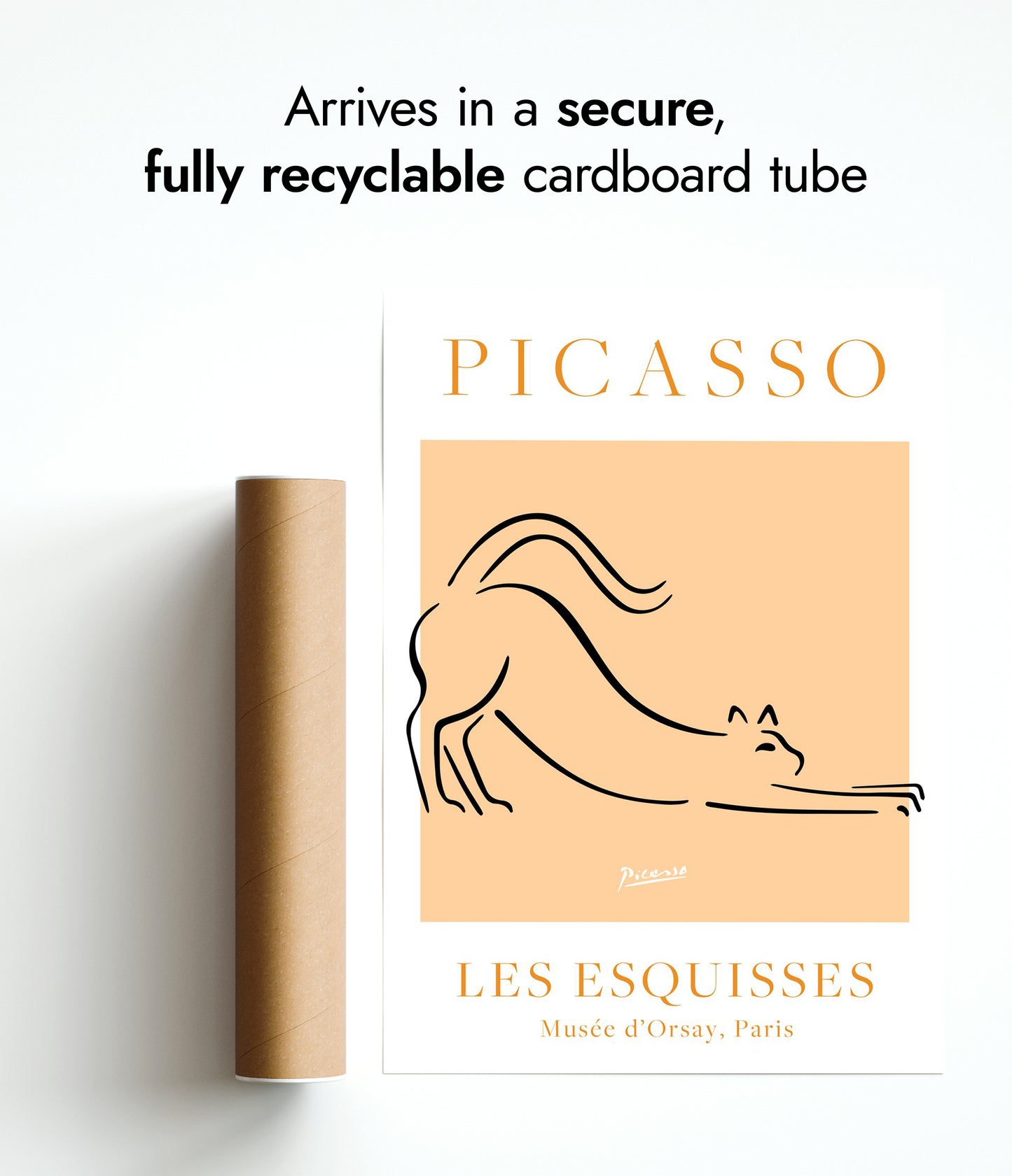 Chat Orange et Blanc