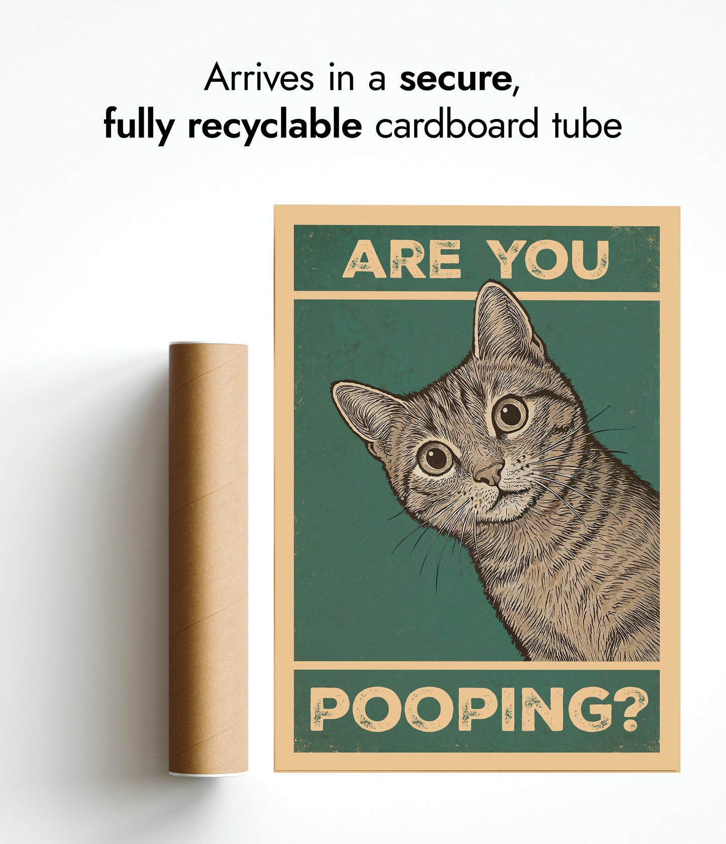 Are You Pooping? Cat