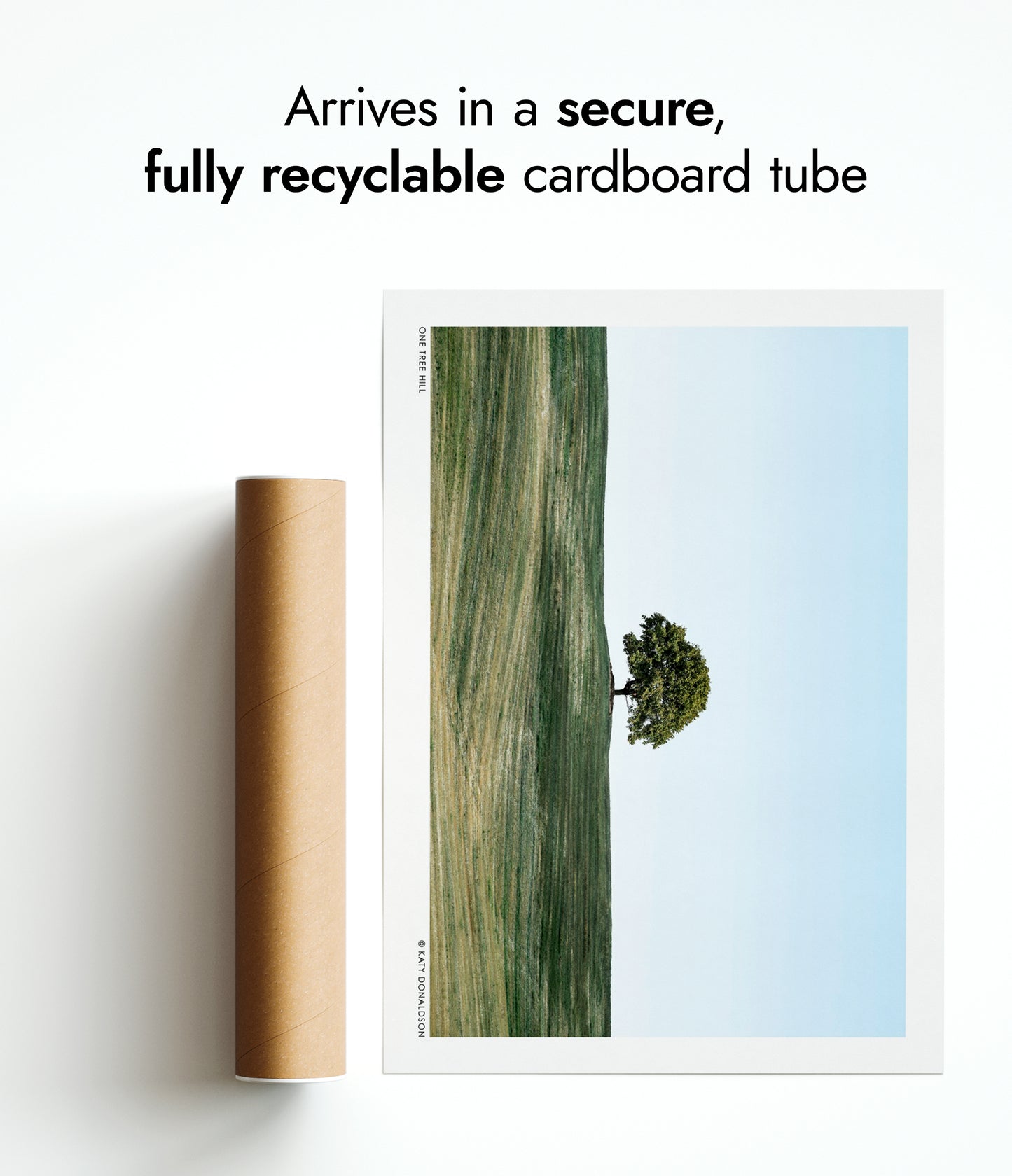 Paysage de One Tree Hill