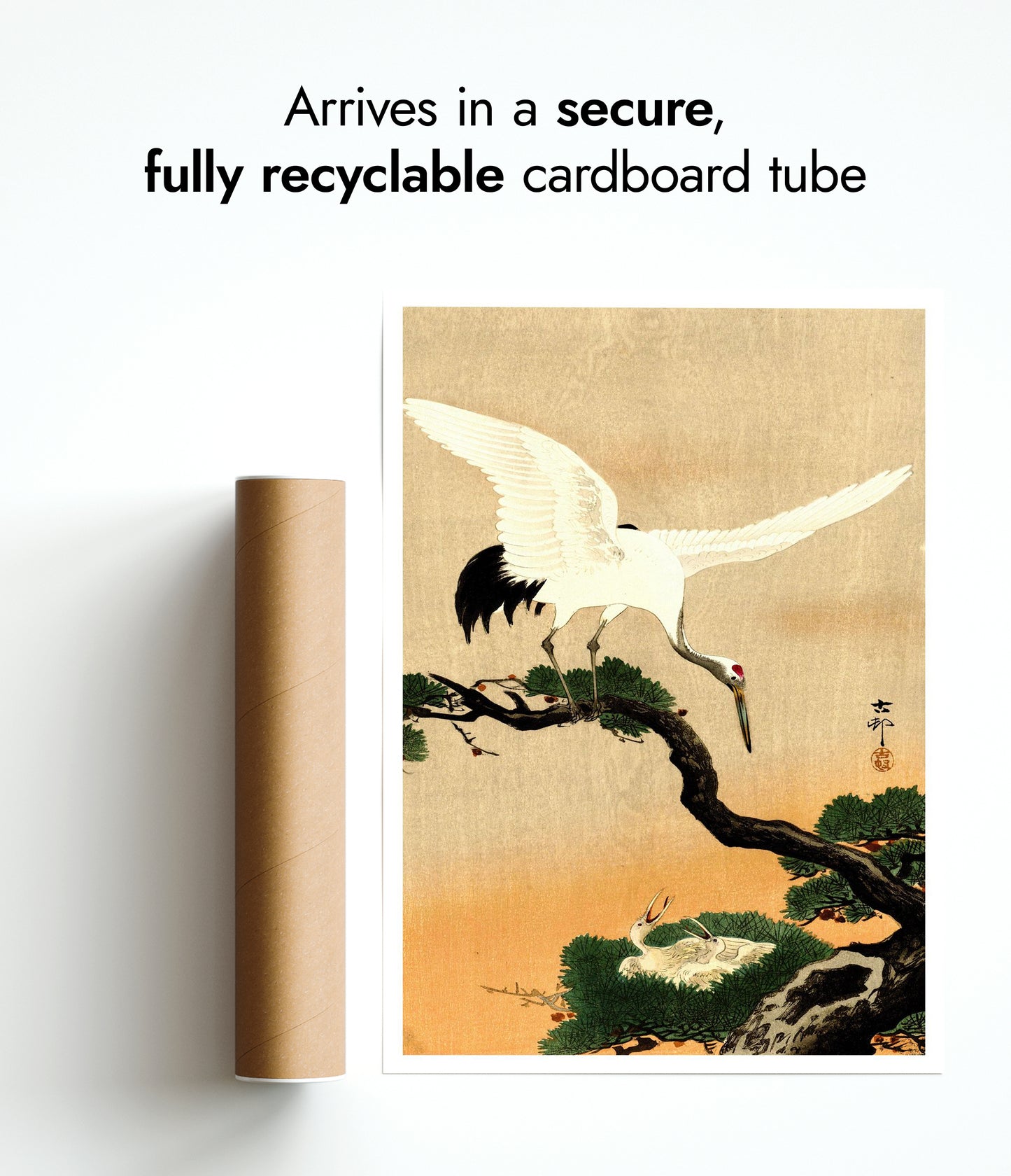 Kraan voedt haar kuikens