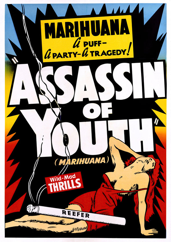 Assassin de la jeunesse