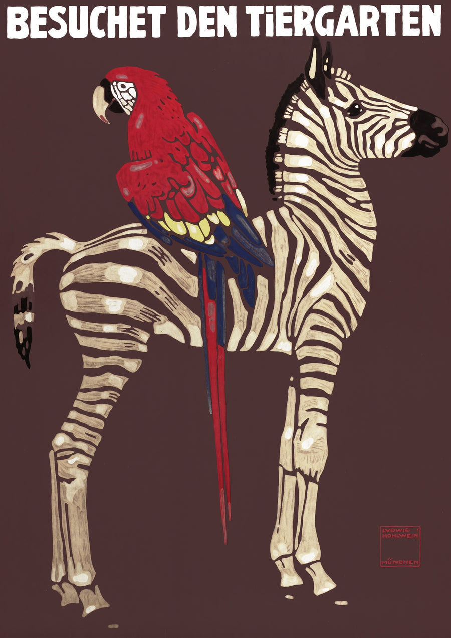 1912 Parrot & Zebra, Munich - Print only