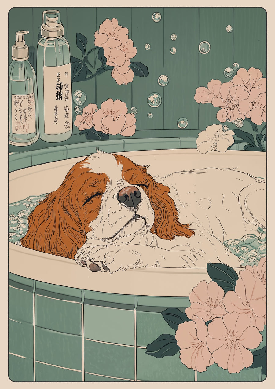 Heure du bain pour le King Charles Spaniel - Print only