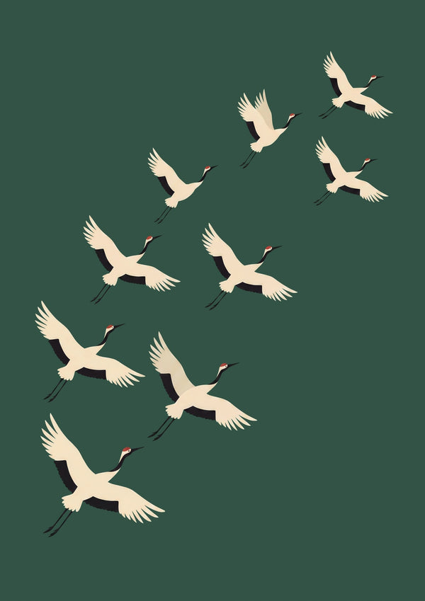 Cranes Taking Flight