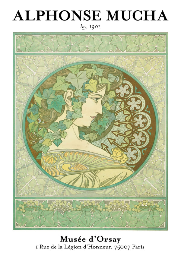 Ivy