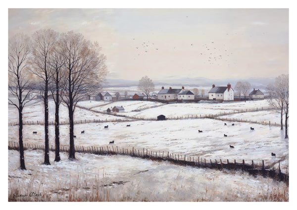 Snowy Fields