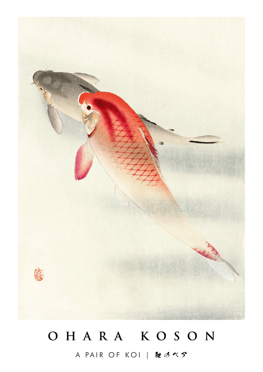 Ett par koi - Print only